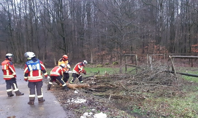 20230203_165315_resized zugeschnitten groß.jpg